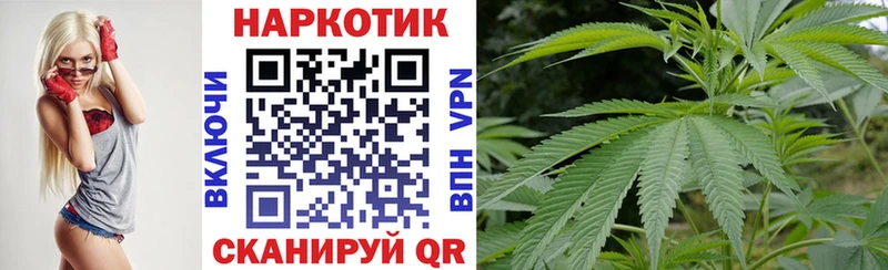 Псилоцибиновые грибы Шелехов
