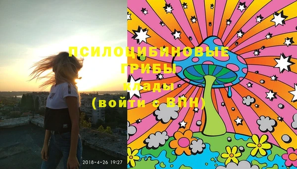 таблы Новозыбков