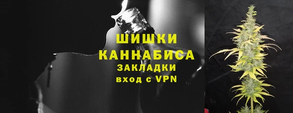 индика Бутурлиновка