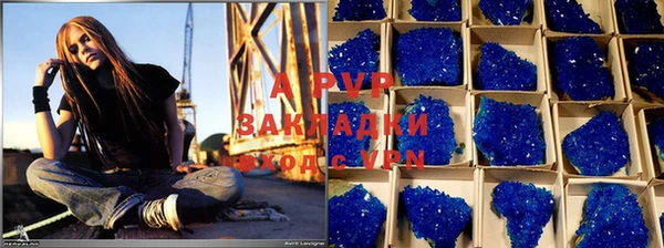 таблы Новозыбков